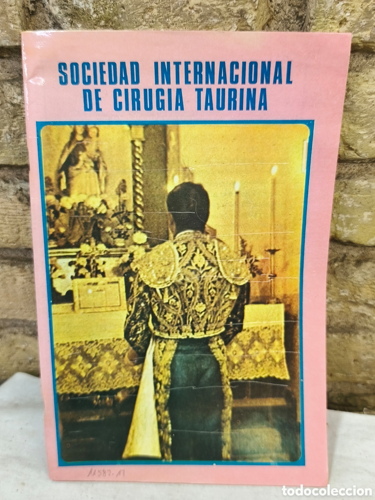 Tauromaquia: SOCIEDAD INTERNACIONAI DE CIRUGIA TAURINA