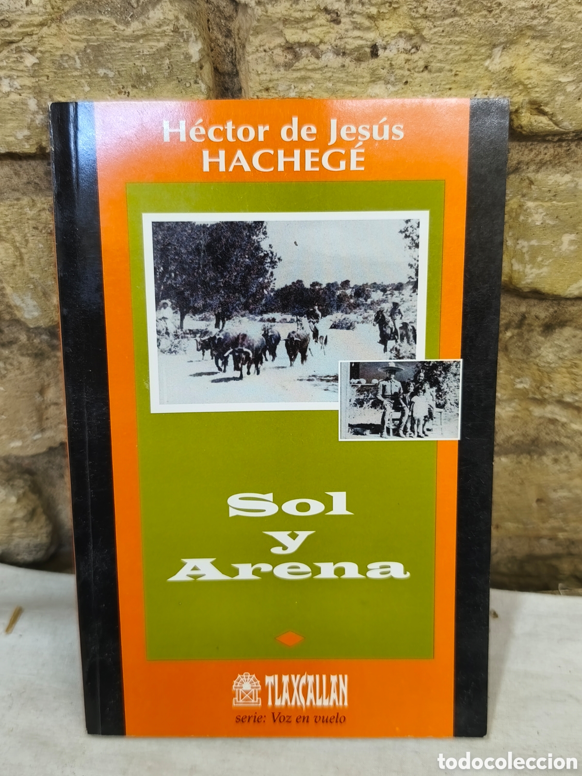 Tauromaquia: Sol Arena H&eacute;ctor de Jes&uacute;s, HACHEG&Eacute;