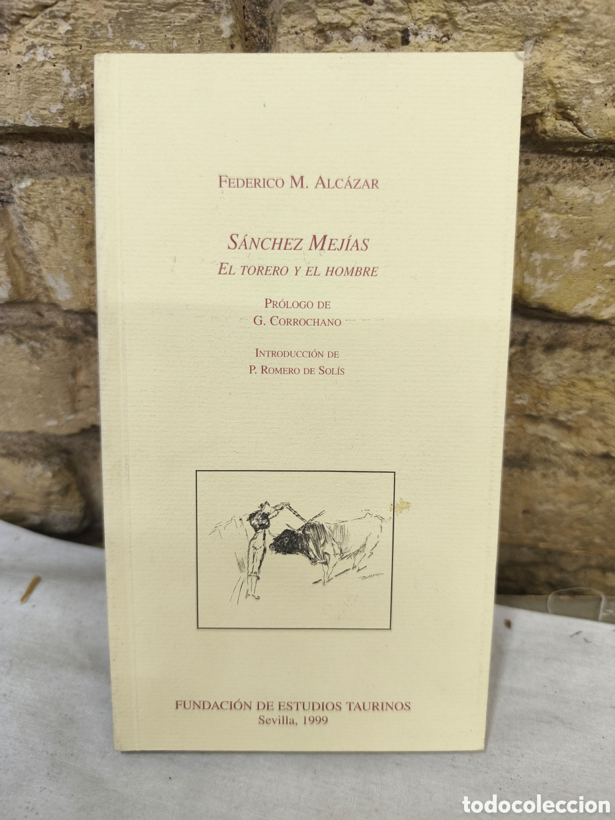Tauromaquia: S&Aacute;NCHEZ MEJ&Iacute;AS EL TORERO Y EL HOMBRE