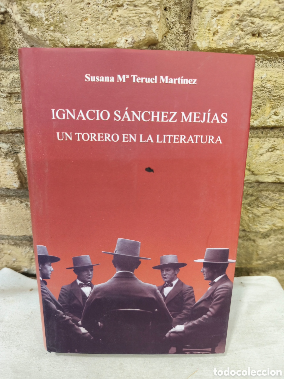 Tauromaquia: IGNACIO S&Aacute;NCHEZ MEJ&Iacute;AS UN TORERO EN LA LITERATURA