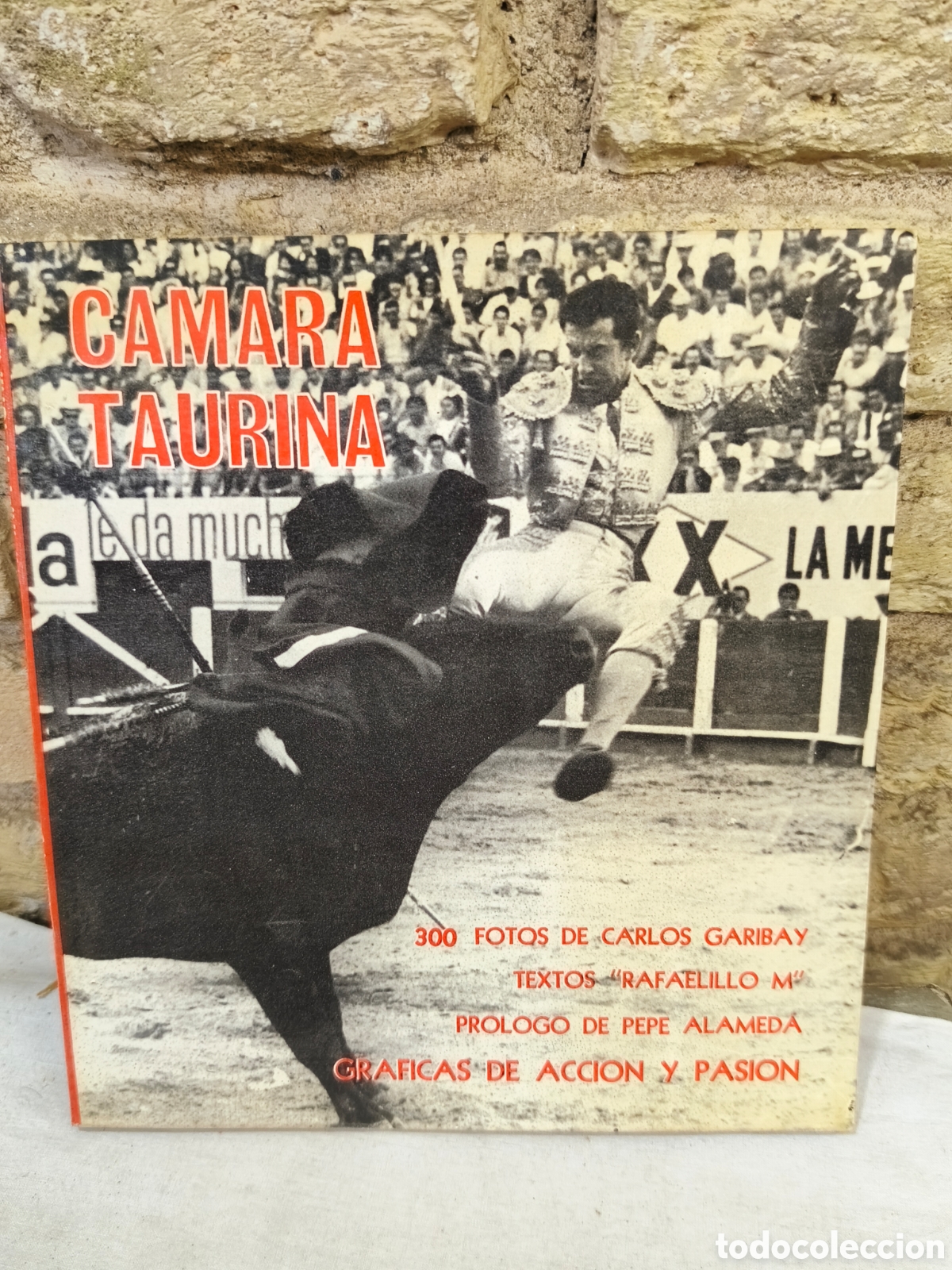 Tauromaquia: CAMARA TAURINA 300 FOTOS.