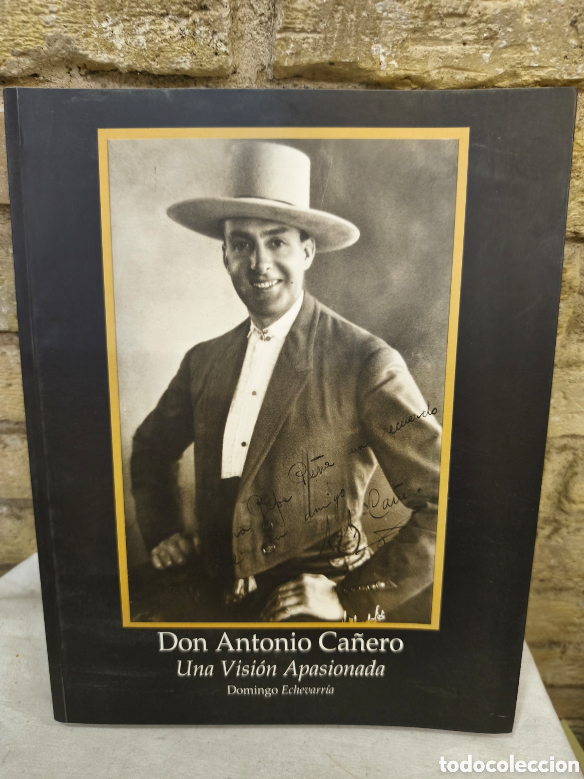 Tauromaquia: DON ANTONIO CA&Ntilde;ERO. UNA VISI&Oacute;N APASIONADA. DOMINGO ECHEVARRIA. 2012