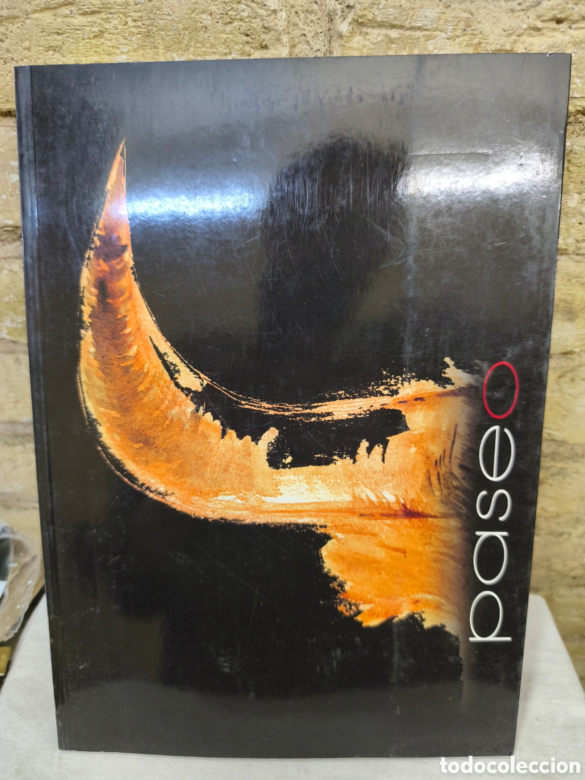 Tauromaquia: Paseo. Edici&oacute;n Point Sud, 2002.