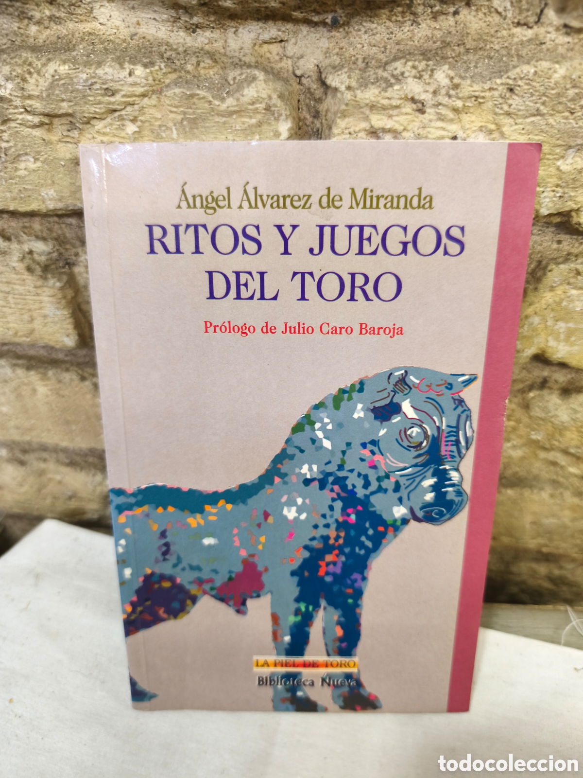 Tauromaquia: RITOS Y JUEGOS DEL TORO
