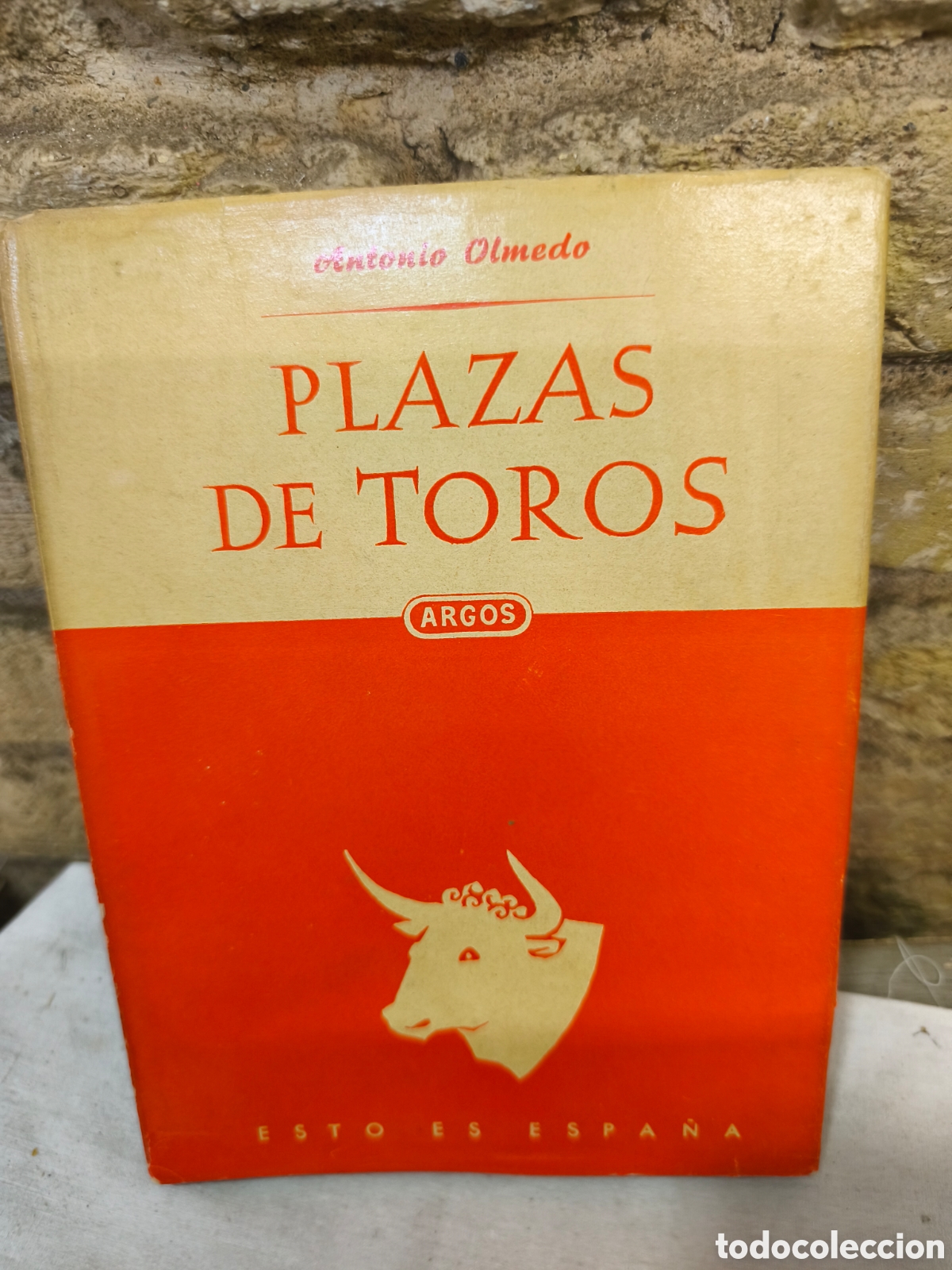 Tauromaquia: PLAZAS DE TOROS Y ESCUELAS DE TAUROMAQUIA