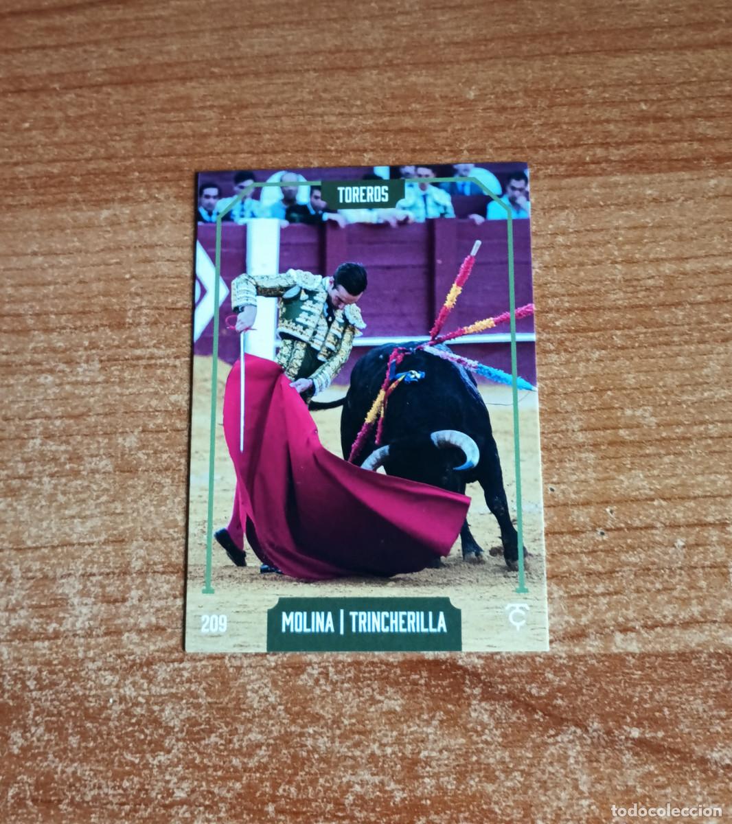 Tauromaquia: Cromo Taurocromos 2026 - N&ordm; 209 - Toreros - Jos&eacute; Fernando Molina - Trincherilla