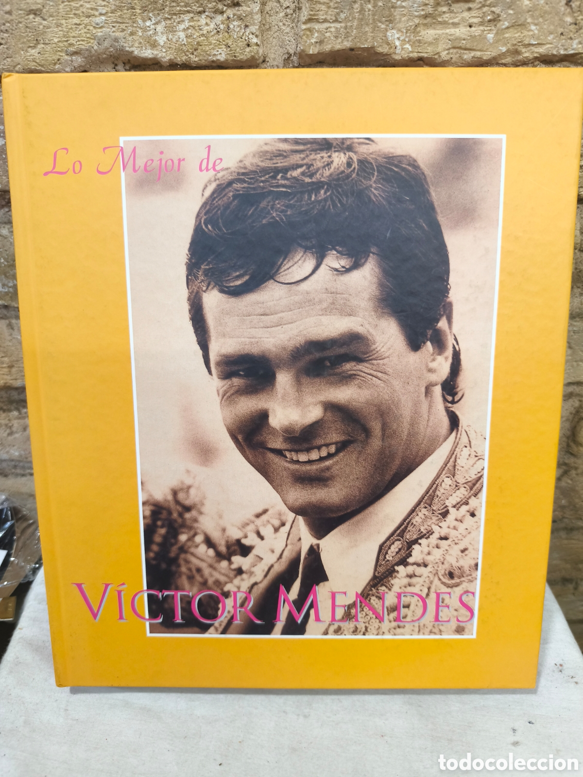 Tauromaquia: Lo mejor de V&iacute;ctor M&eacute;ndes