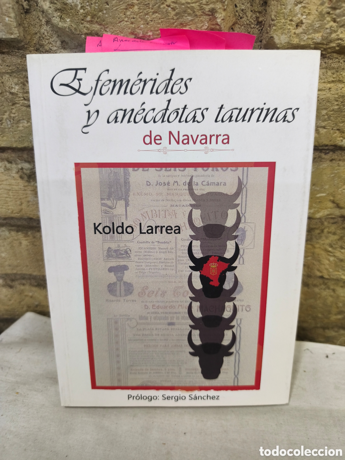 Tauromaquia: Efem&eacute;rides y an&eacute;cdotas taurinas de Navarra