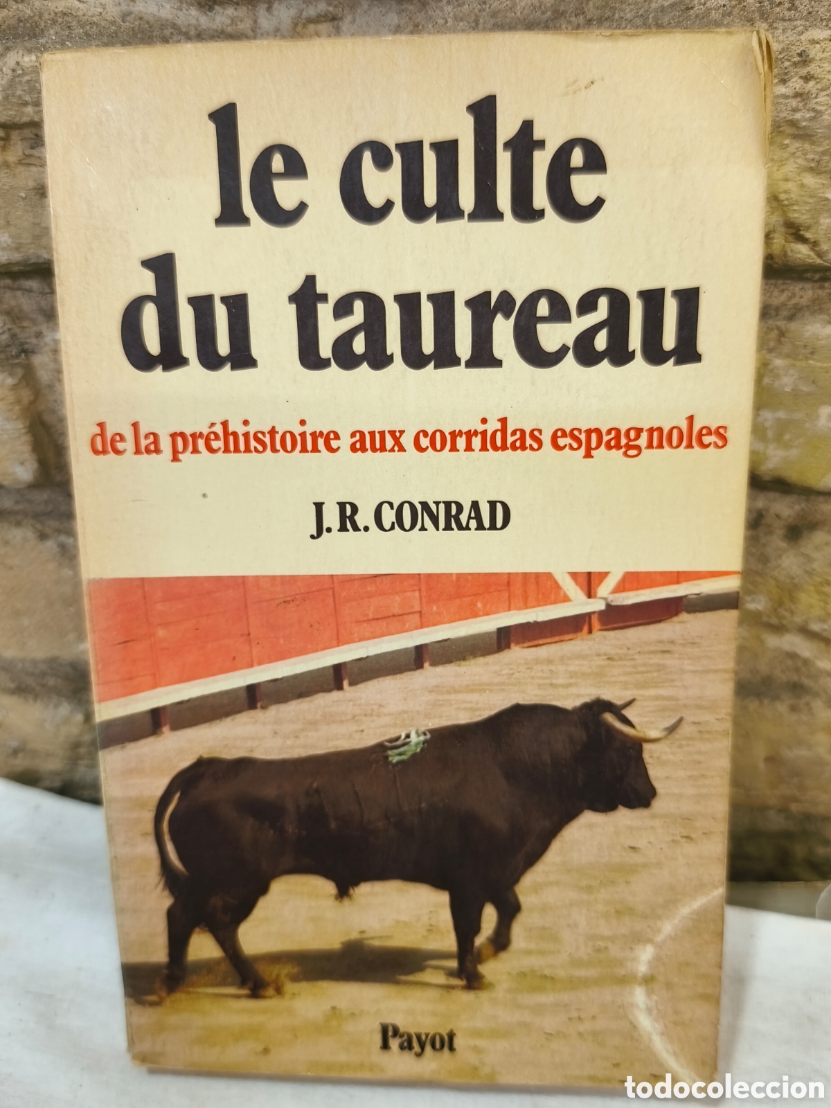Tauromaquia: le culte du taureau de la pr&eacute;histoire aux corridas espagnoles