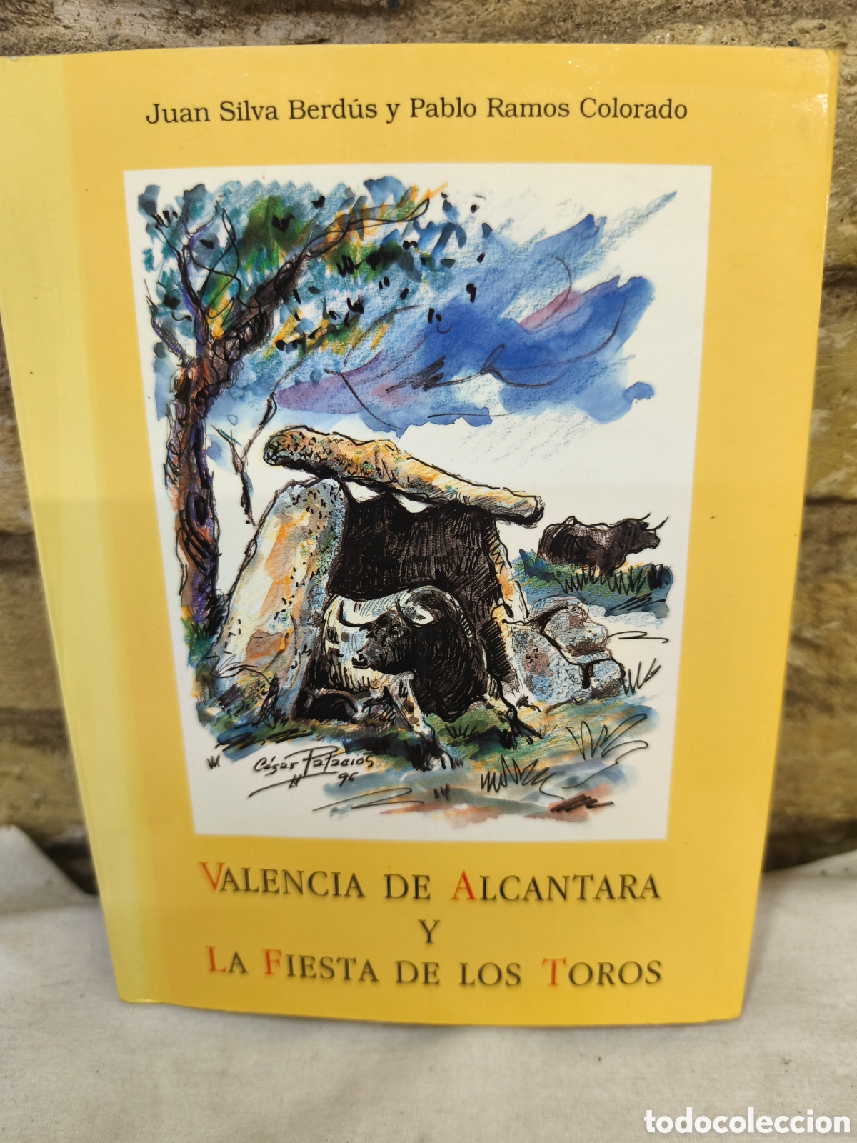 Tauromaquia: VALENCIA DE ALCANTARA LA FIESTA DE LOS TOROS