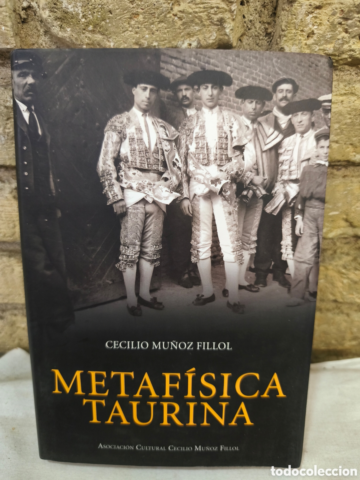 Tauromaquia: METAF&Iacute;SICA TAURINA, CECILIO MU&Ntilde;OZ FILLOL