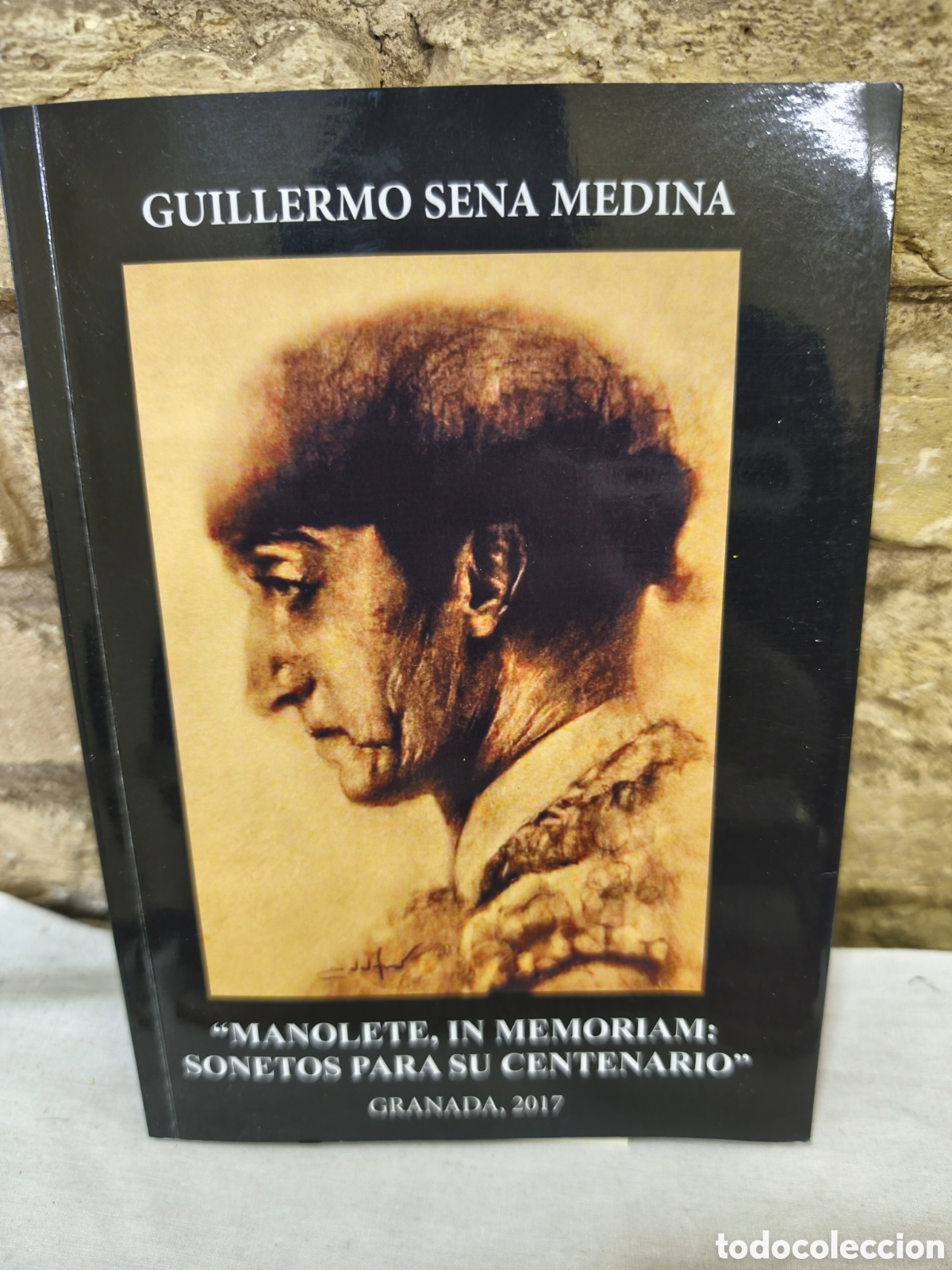 Tauromaquia: &ldquo;MANOLETE,IN MEMORIAM SONETOS PARA SU CENTENARIO