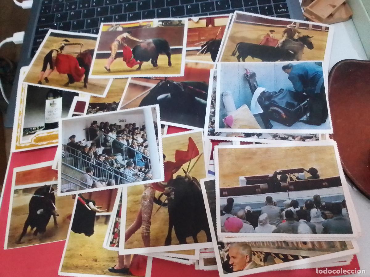 Tauromaquia: LOTE DE 175 CROMOS DE TAUROMAQUIA DE BOLSILLO
