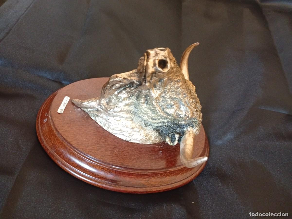 Tauromaquia: Cabeza de toro en peana de Madera mazica.