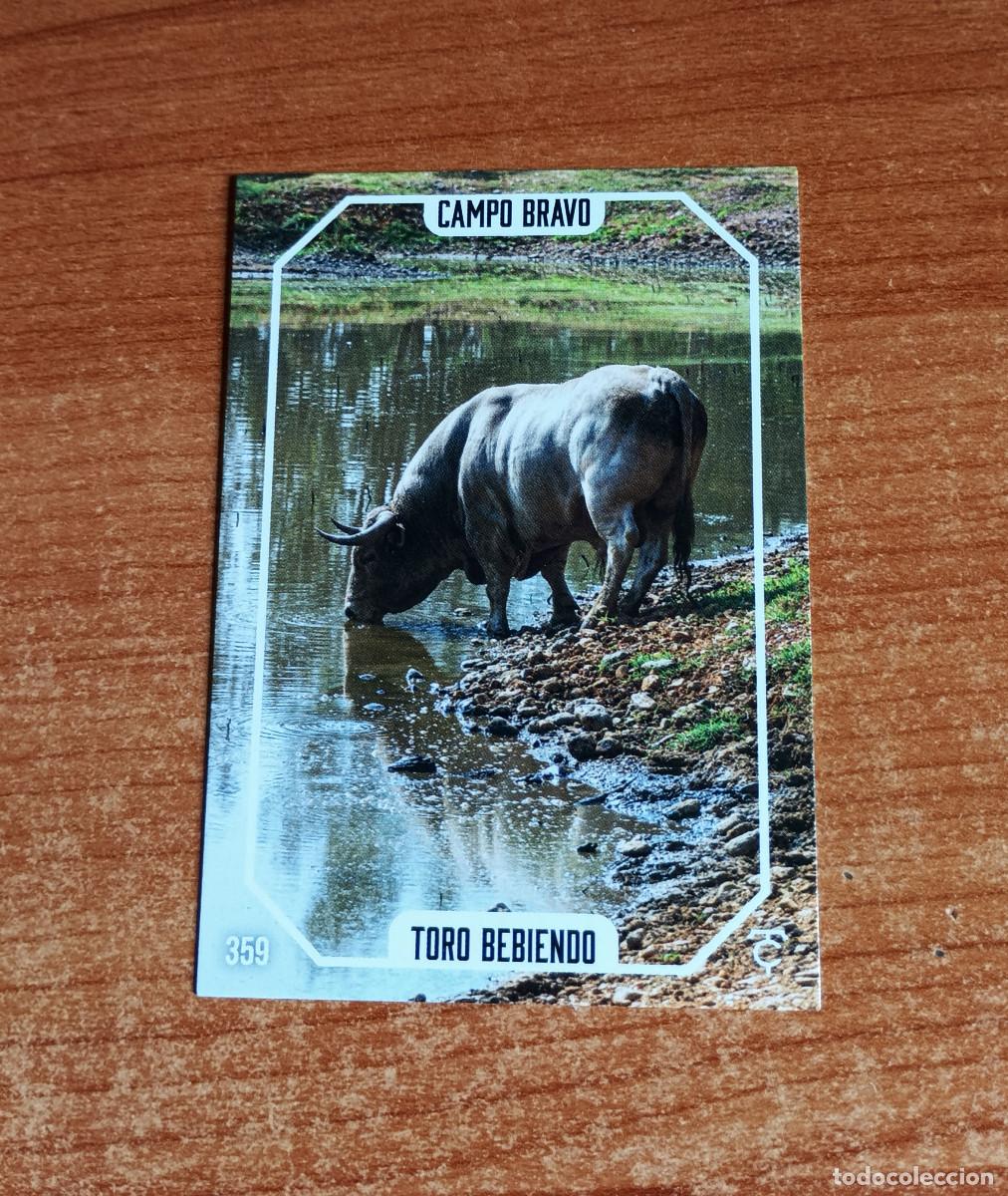 Tauromaquia: Cromo Taurocromos 2026 - N&ordm; 359 - Campo Bravo - Toro bebiendo