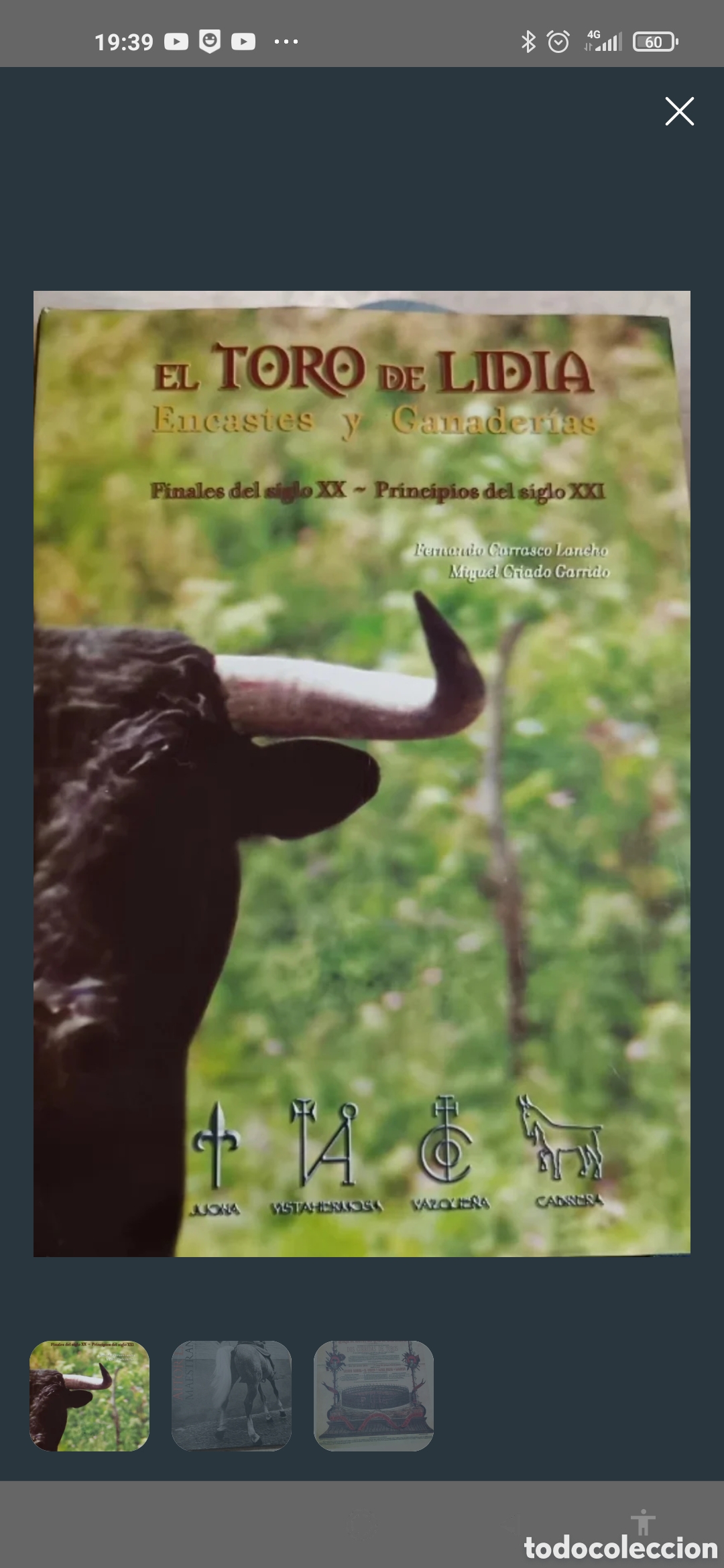 Tauromaquia: El toro de lidia encastes y ganader&iacute;as