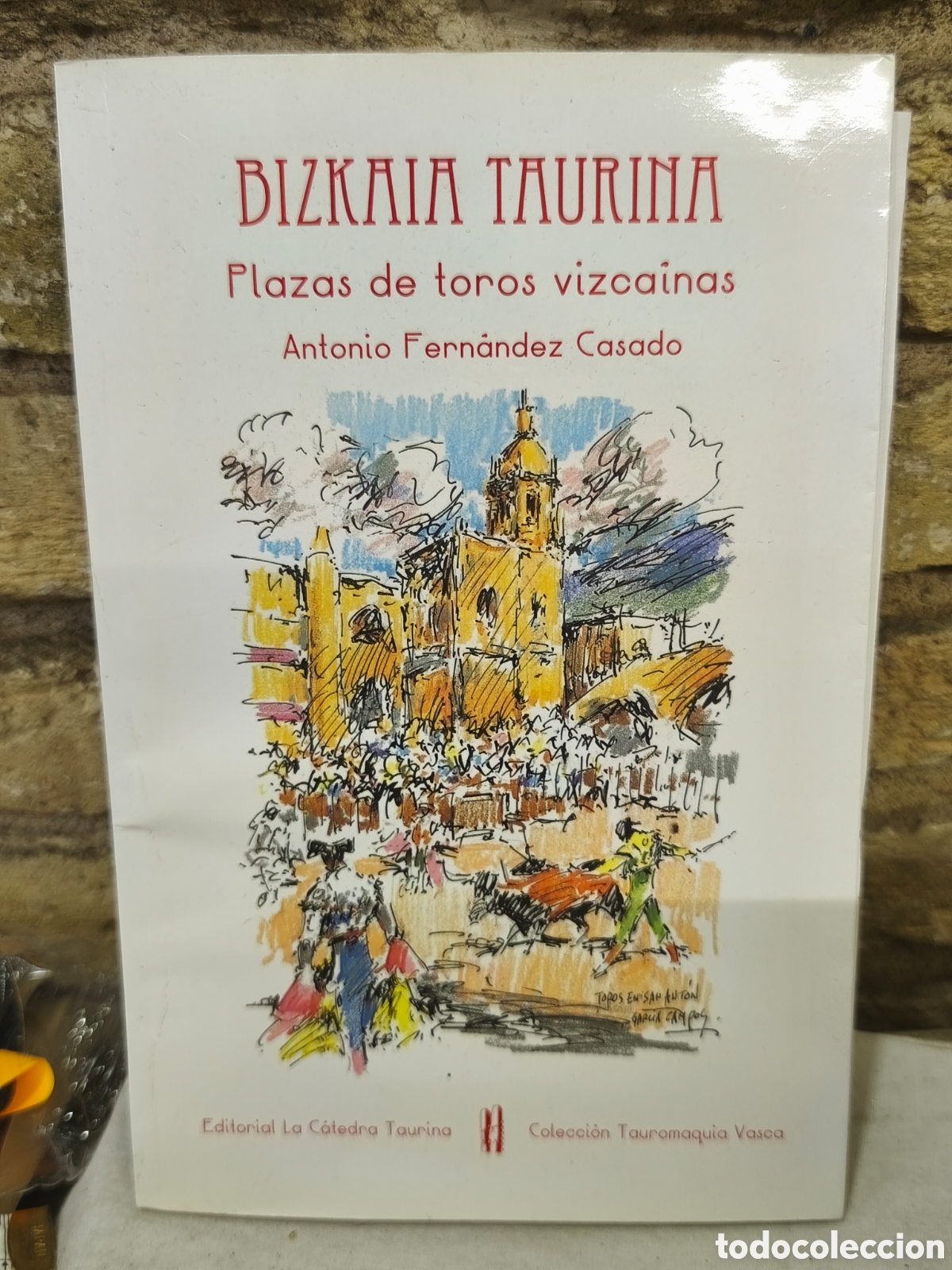 Tauromaquia: BIZKAIA TAURINA Plazas de toros vizcainas