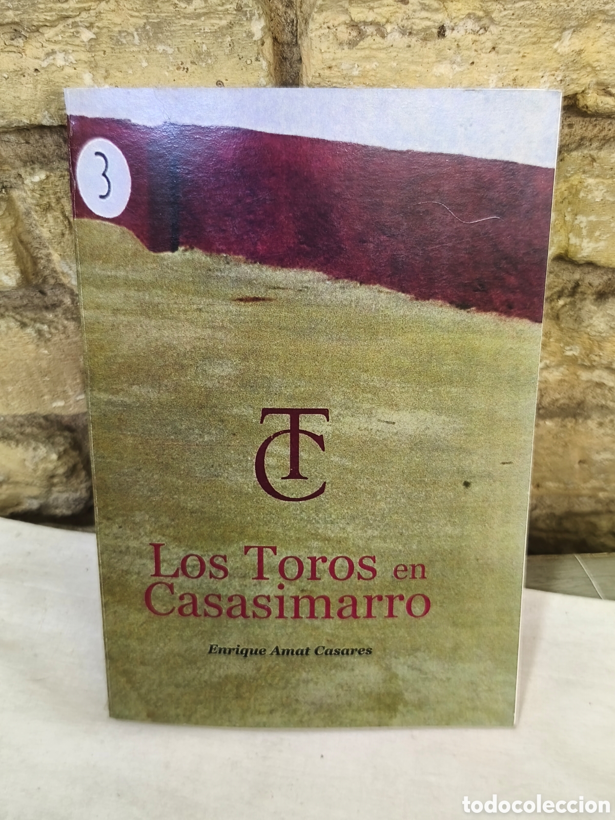 Tauromaquia: LOS TOROS EN CASASIMARRO Enrique Amat Casares