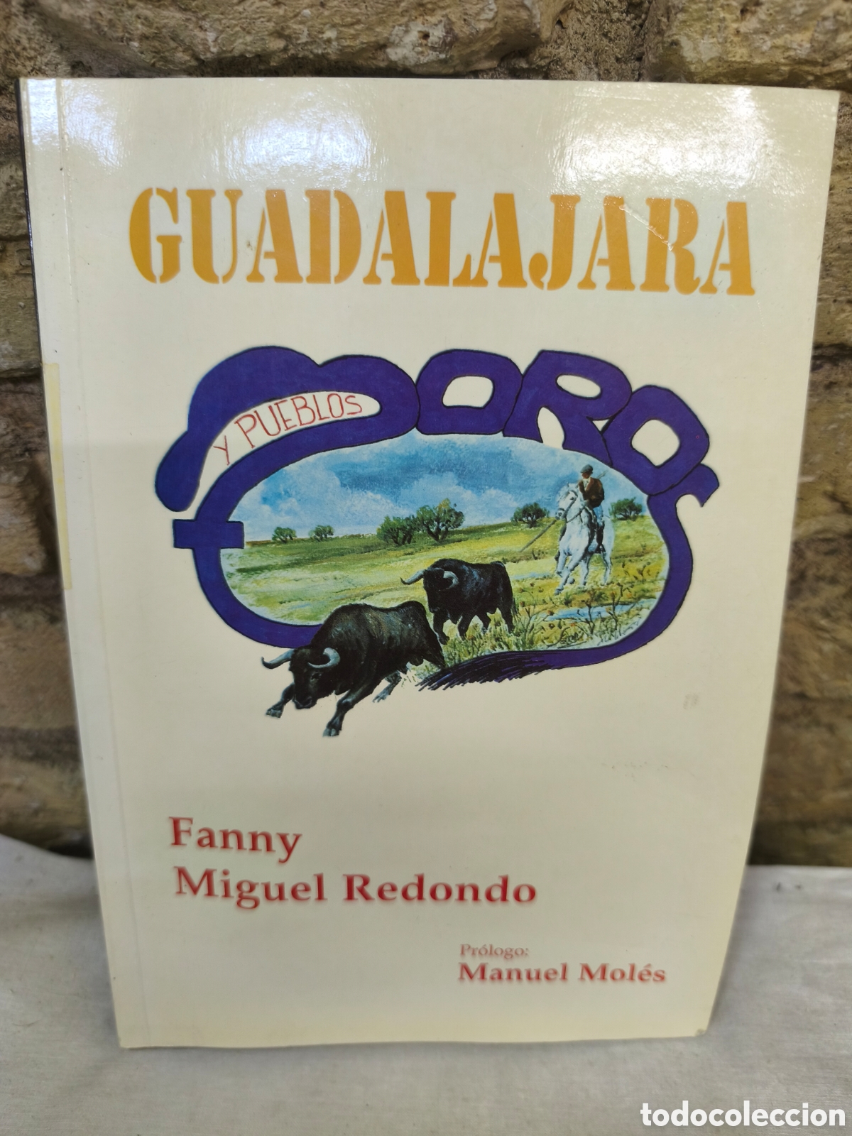 Tauromaquia: Guadalajara, Fanny Miguel Redondo