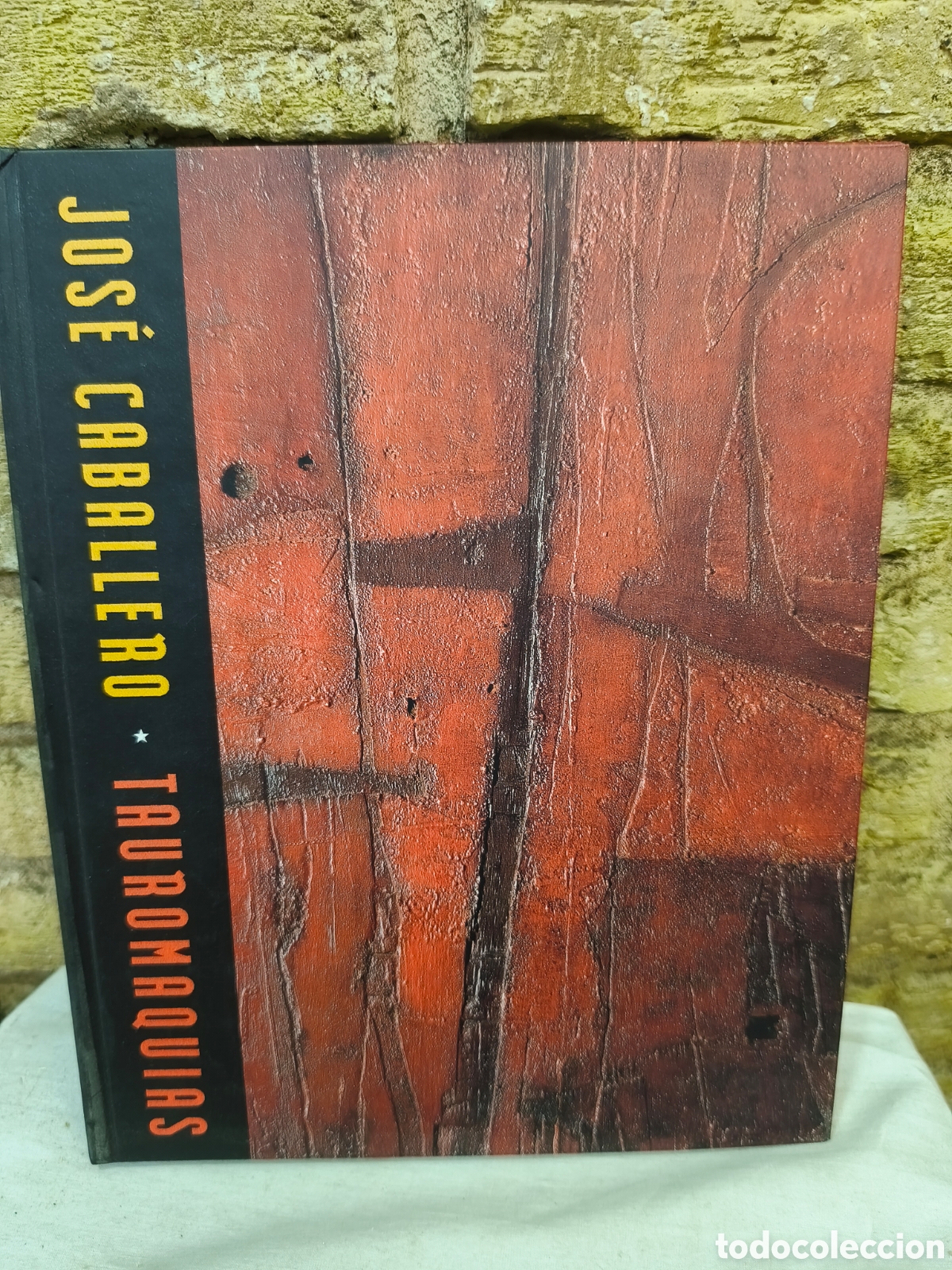 Tauromaquia: JOS&Eacute; CABALLERO TAUROMAQUIAS