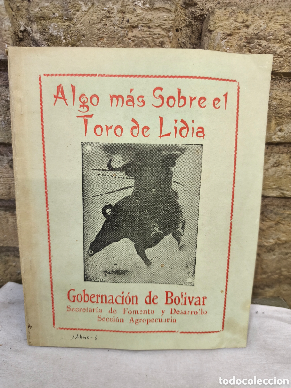 Tauromaquia: Algo mas Sobre el Toro de Lidia