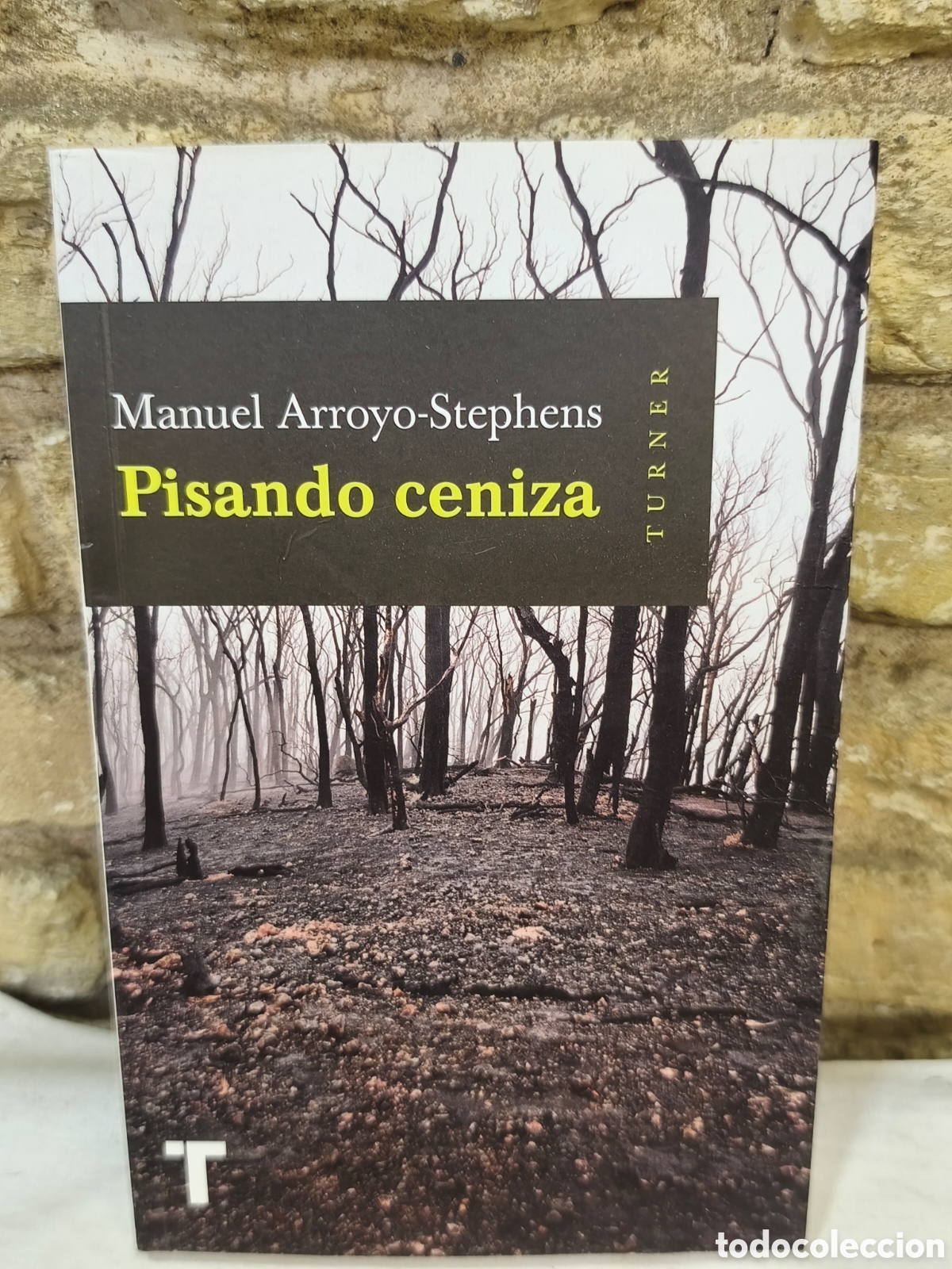 Tauromaquia: Manuel Arroyo-Stephens Pisando ceniza