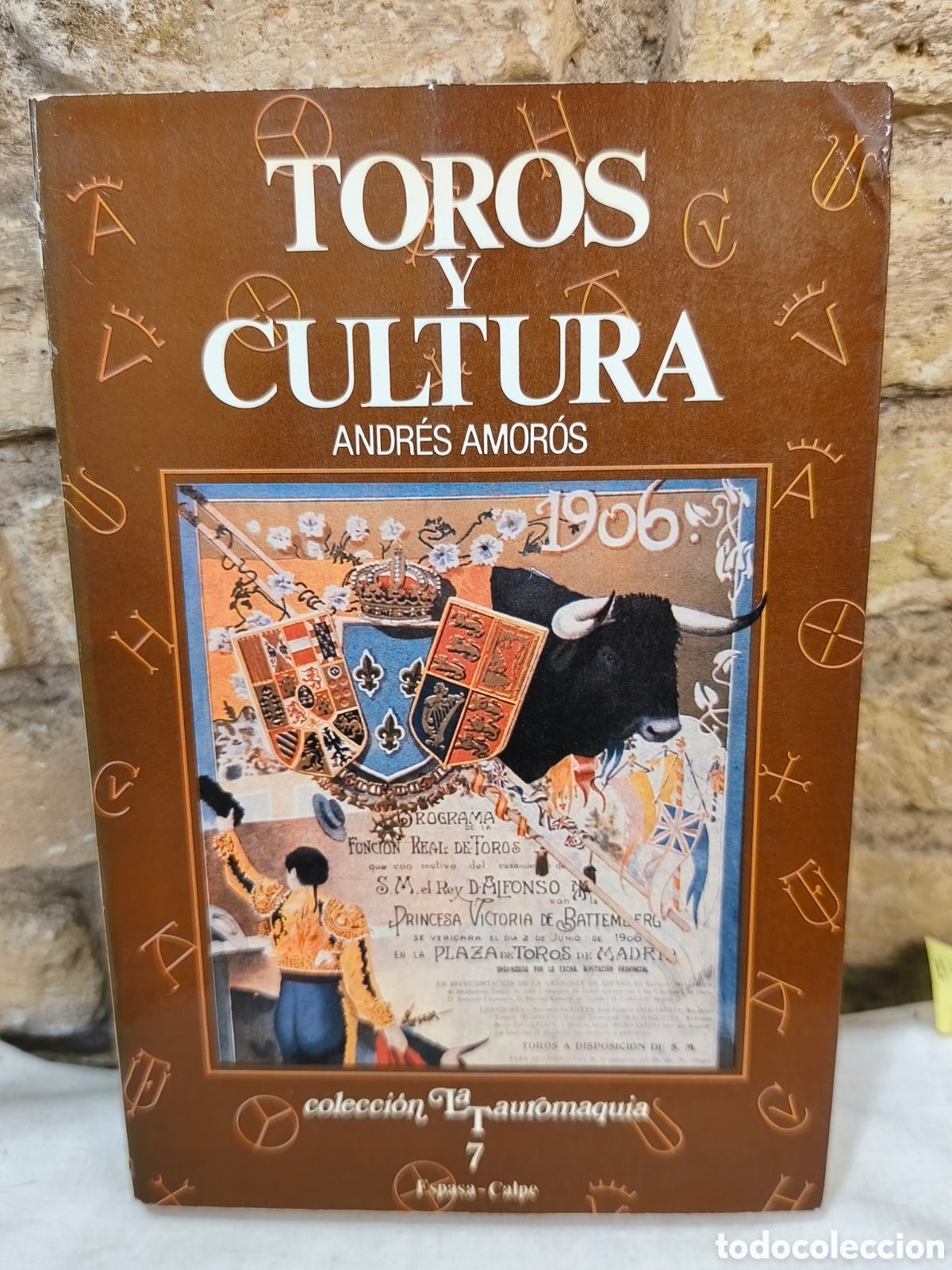 Tauromaquia: TOROS y CULTURA ANDR&Eacute;S AMOR&Oacute;S