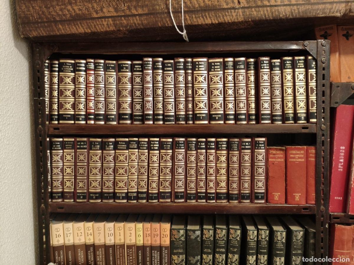 Tauromaquia: Colecci&oacute;n libros taurinos