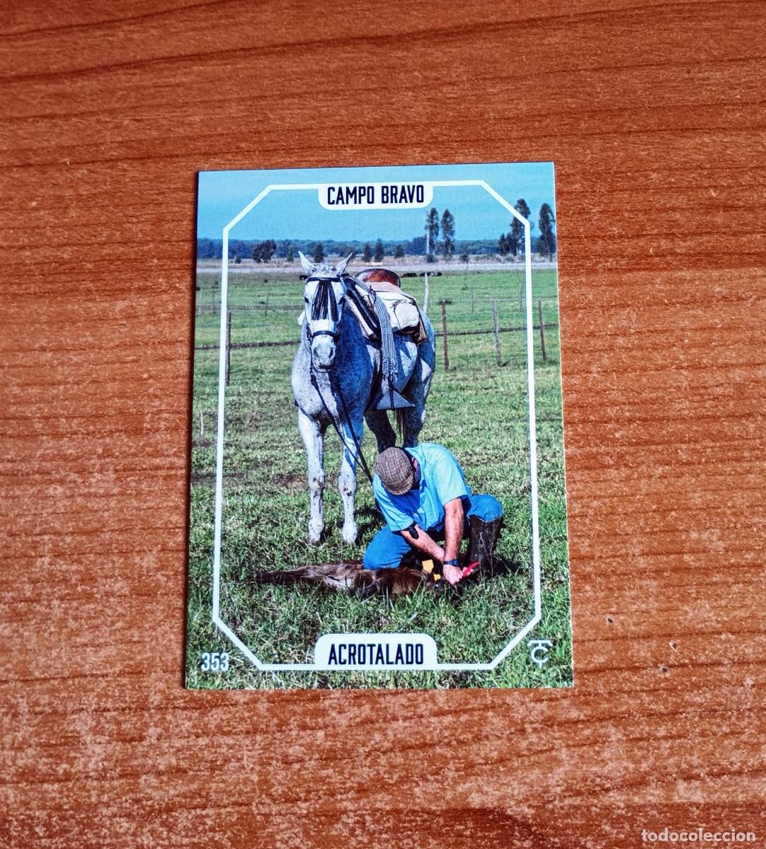Tauromaquia: Cromo Taurocromos 2026 - N&ordm; 353 - Campo bravo - Acrotalado