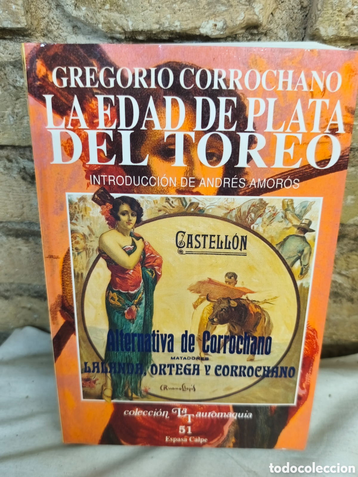 Tauromaquia: LAEDAD DEPLATA DEL TOREO
