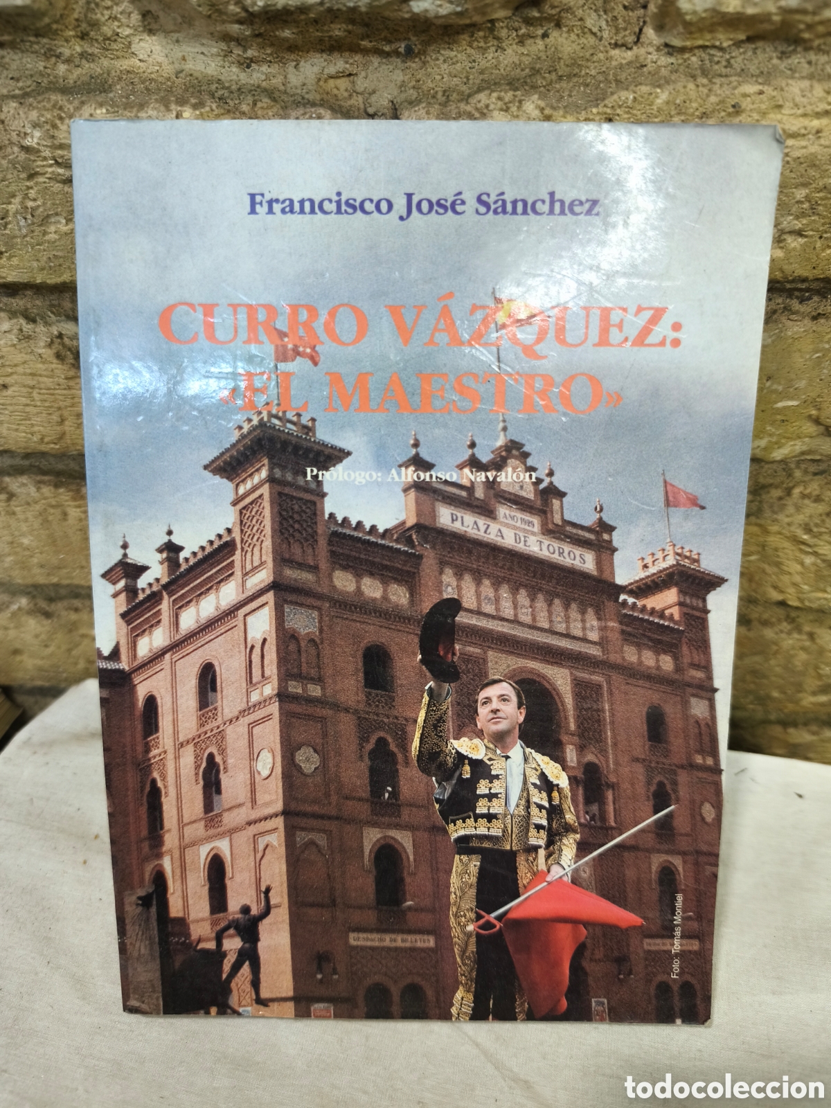 Tauromaquia: CURRO V&Aacute;ZQUEZ: EL MAESTRO