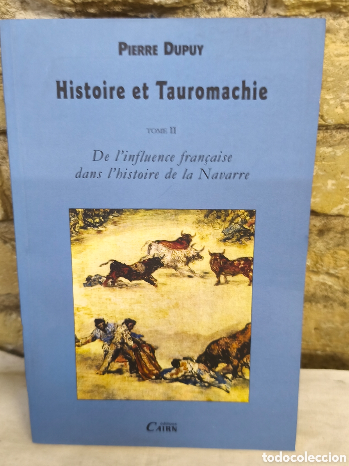 Tauromaquia: PIERRE DUPUY Histoire et Tauromachie