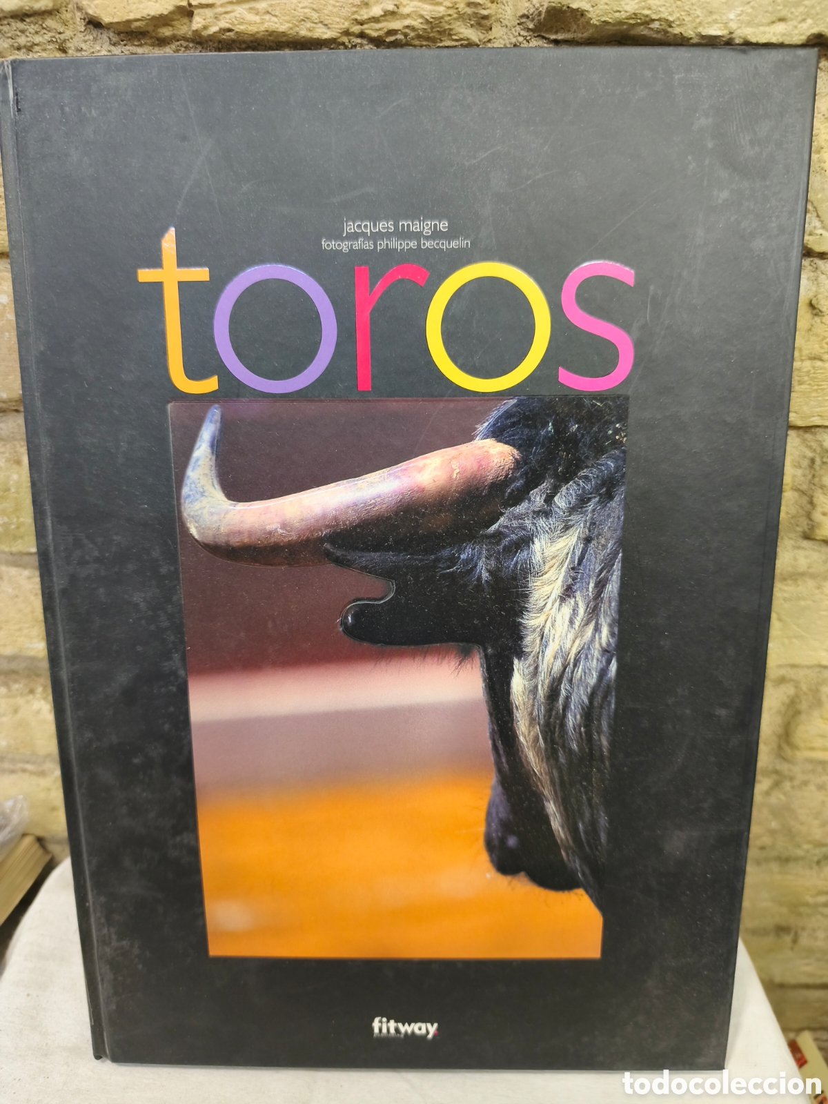 Tauromaquia: TOROS, jacques maigne fotografias philippe becquelin
