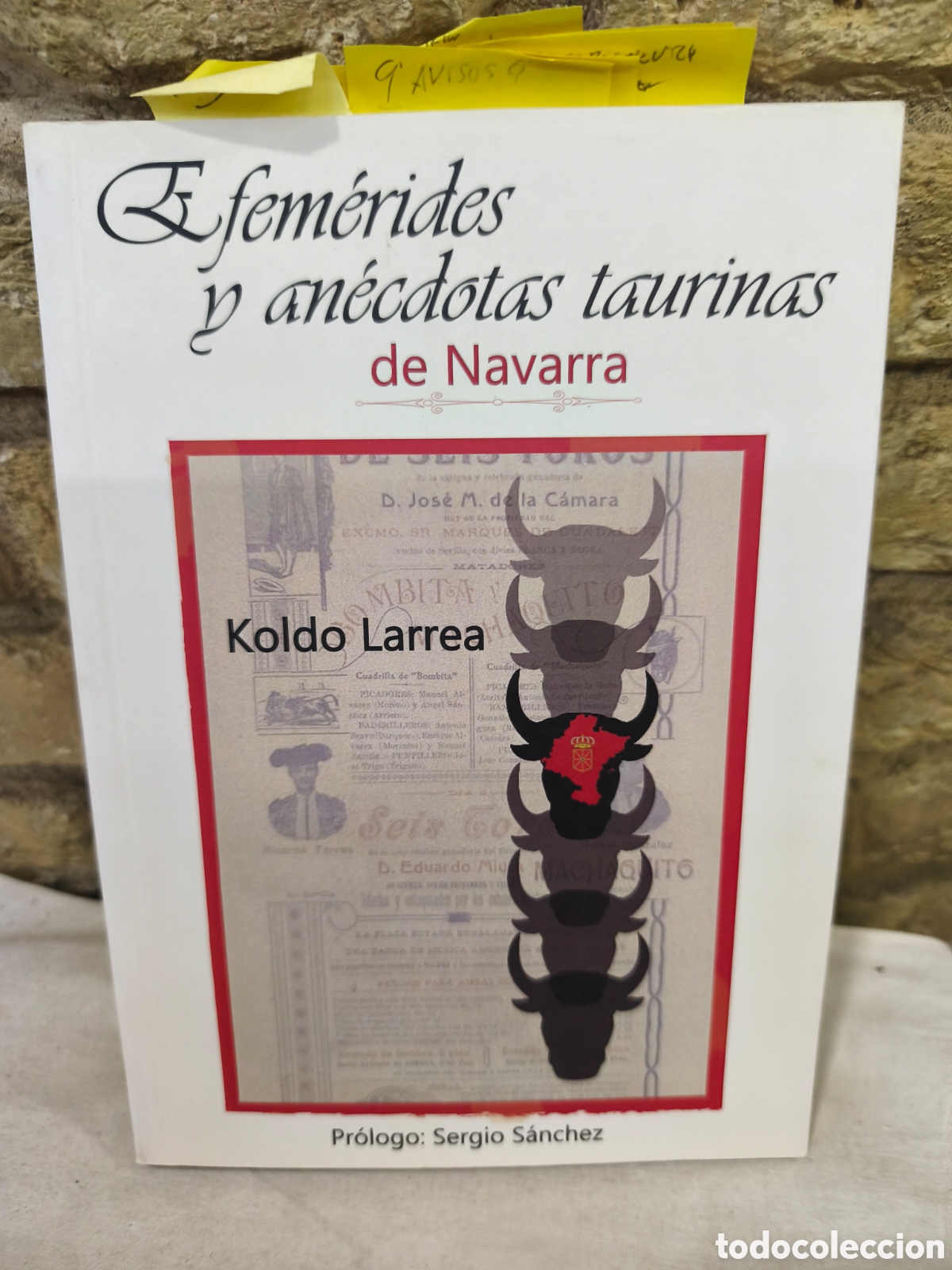 Tauromaquia: Efem&eacute;rides y an&eacute;cdotas taurinas de Navarra