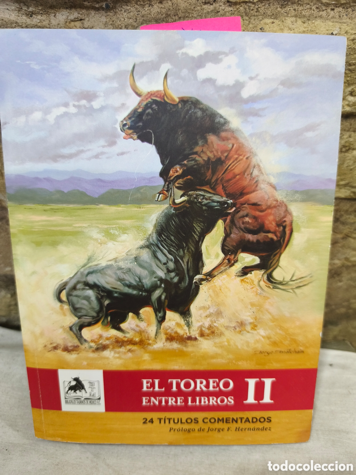Tauromaquia: EL TOREO ENTRE LIBROS II