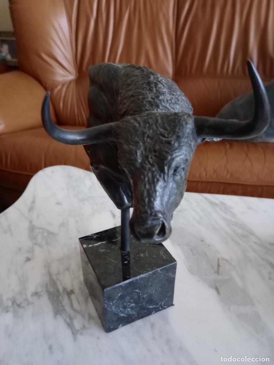 Tauromaquia: Cabeza de toro con base