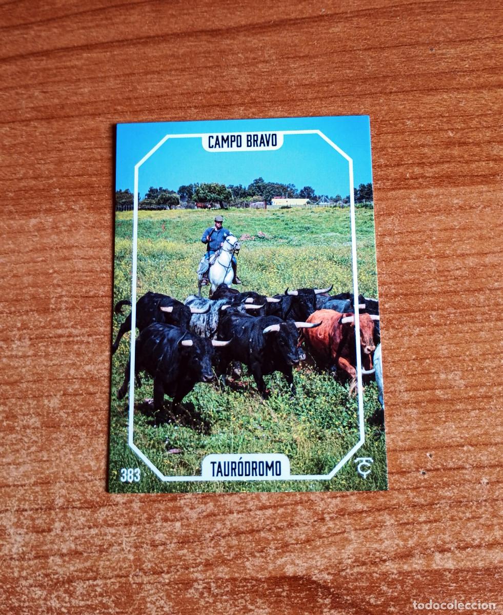 Tauromaquia: Cromo Taurocromos 2026 - N&ordm; 383 - Campo bravo - Taur&oacute;dromo