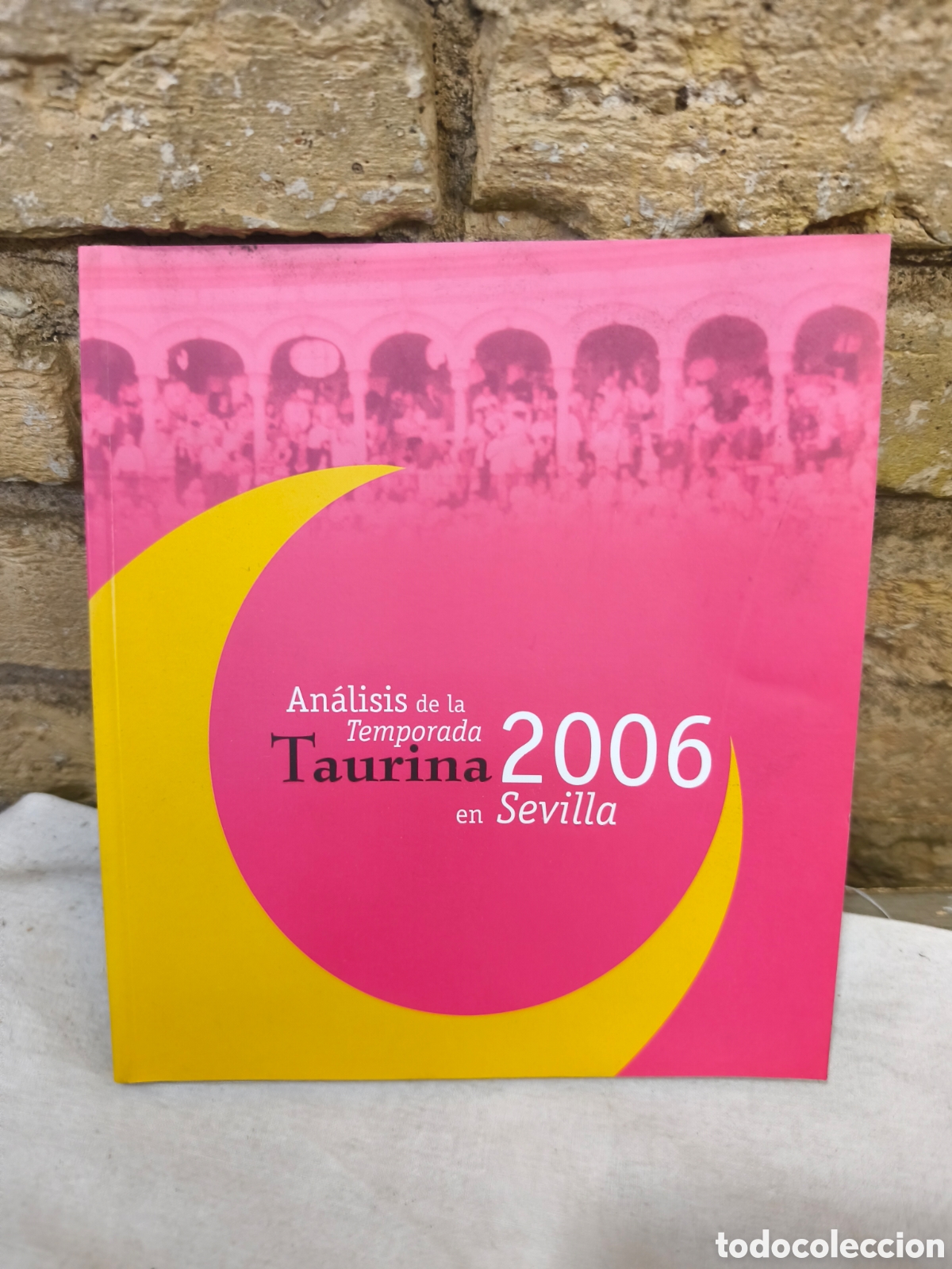 Tauromaquia: An&aacute;lisis de la Temporada Taurina 2006
