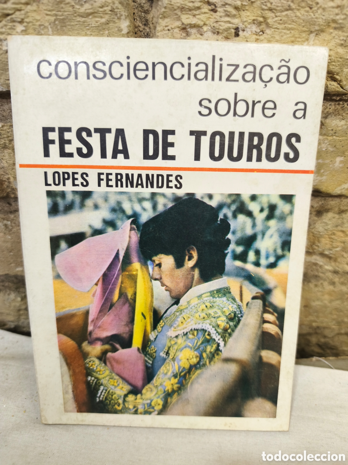 Tauromaquia: CONSCIENCIALIZA&Ccedil;&Atilde;O SOBRE FESTA DE TOUROS