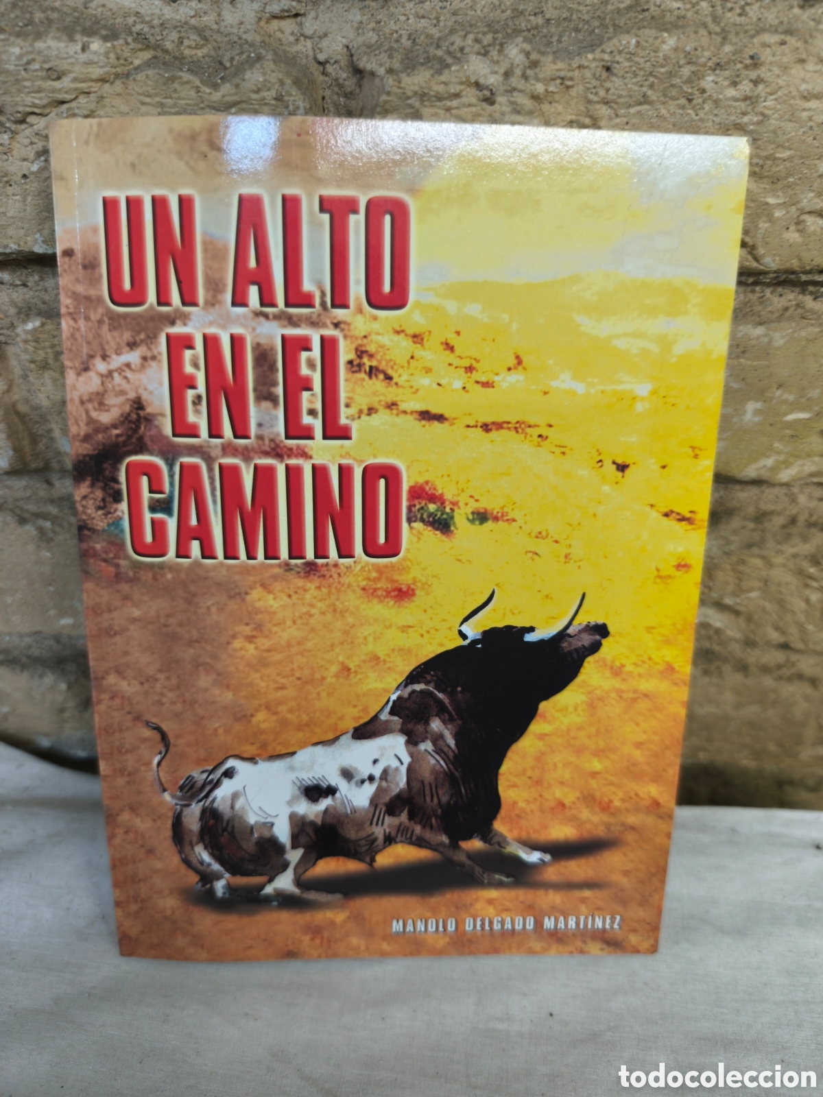 Tauromaquia: UN ALTO EN EL CAMINO