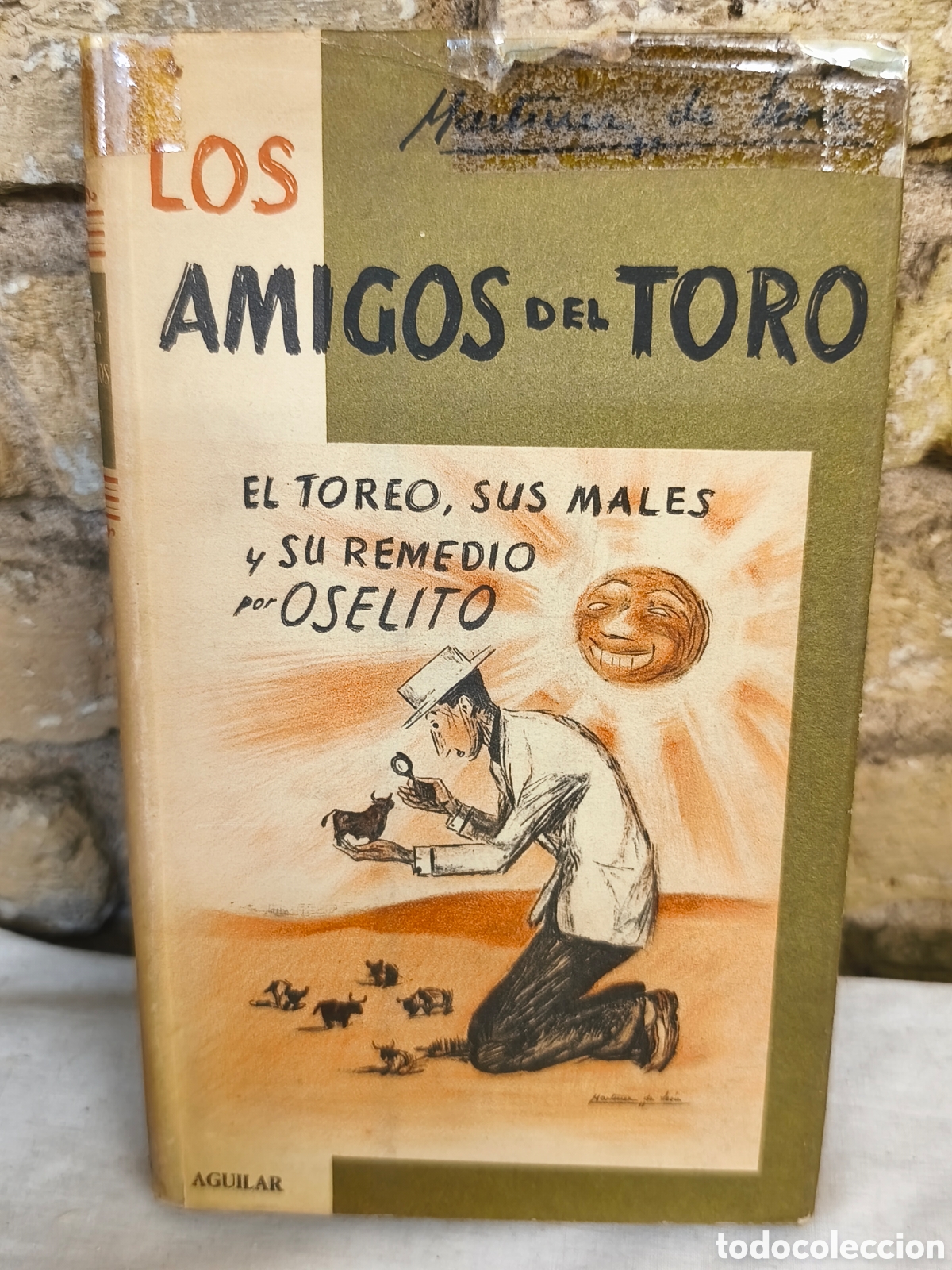 Tauromaquia: LOS AMIGOS DEL TORO EL TOREO: SUS MALES Y SU REMEDIO