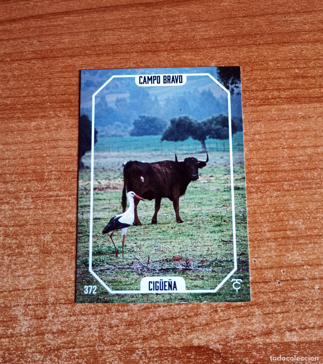 Tauromaquia: Cromo Taurocromos 2026 - N&ordm; 372 - Campo bravo - Cig&uuml;e&ntilde;a