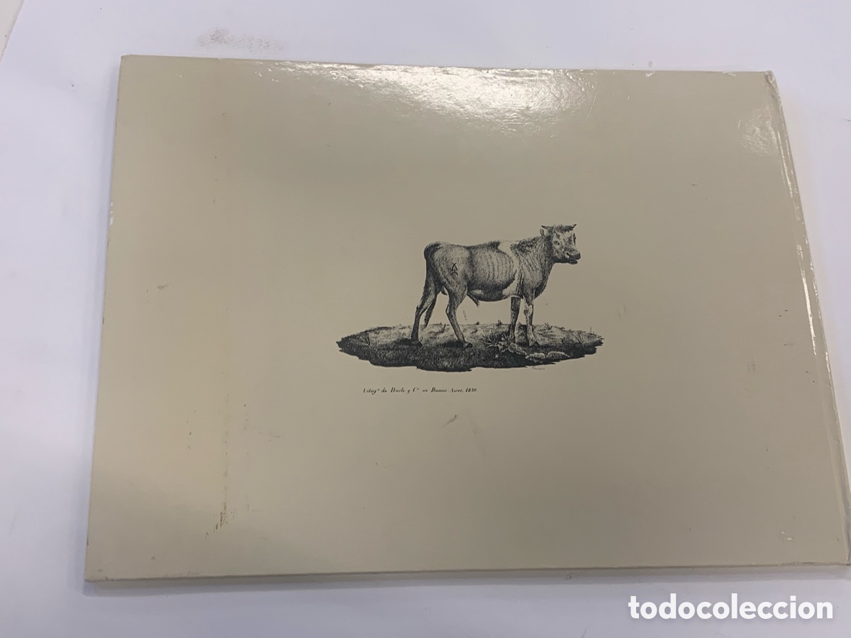 Tauromaquia: Corridas de toros en Buenos Aires - Foto 3