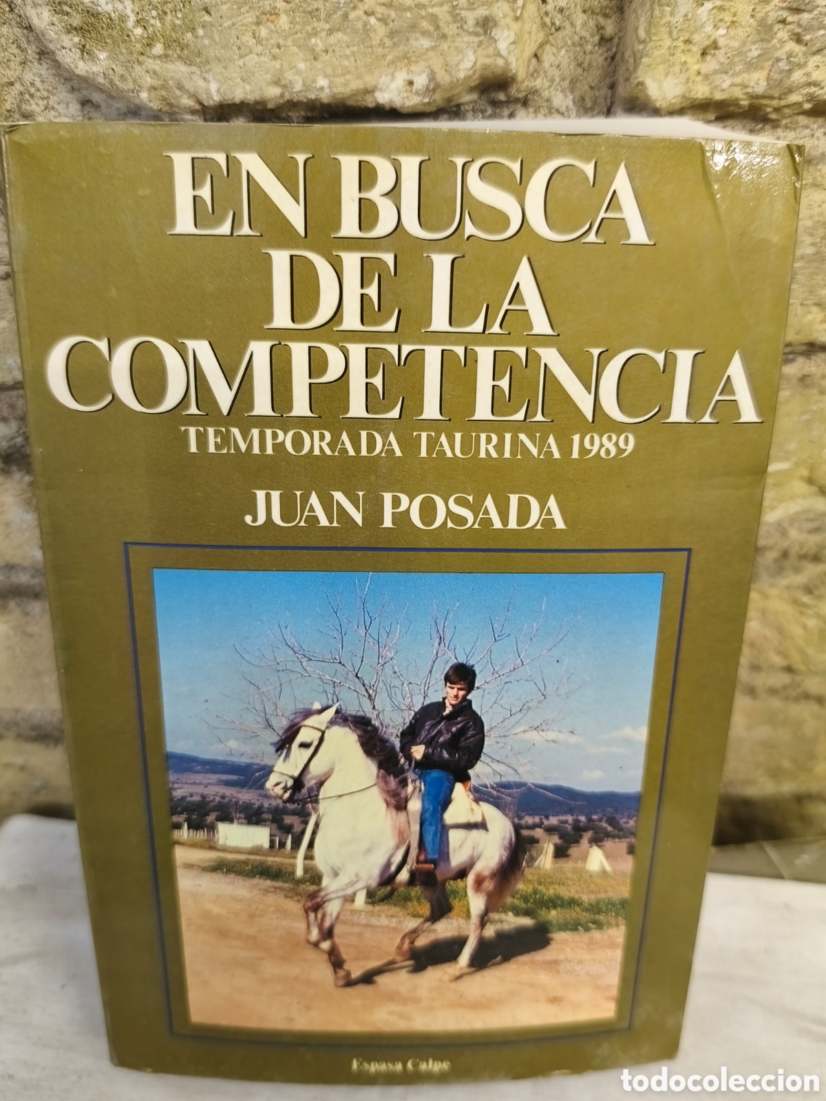 Tauromaquia: EN BUSCA DE LA COMPETENCIA TEMPORADA TAURINA 1989