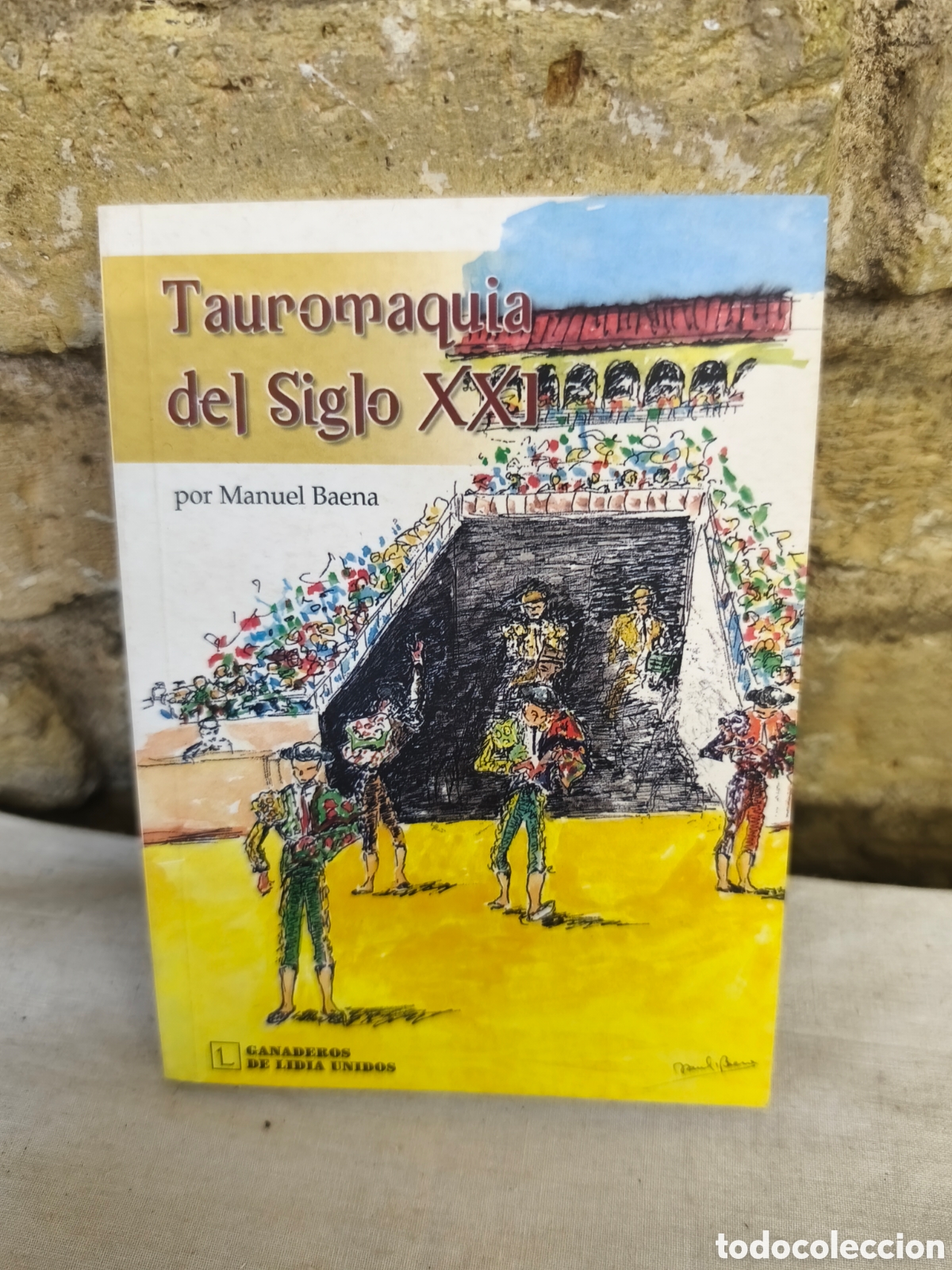 Tauromaquia: Tauromaquia del Siglo XXI