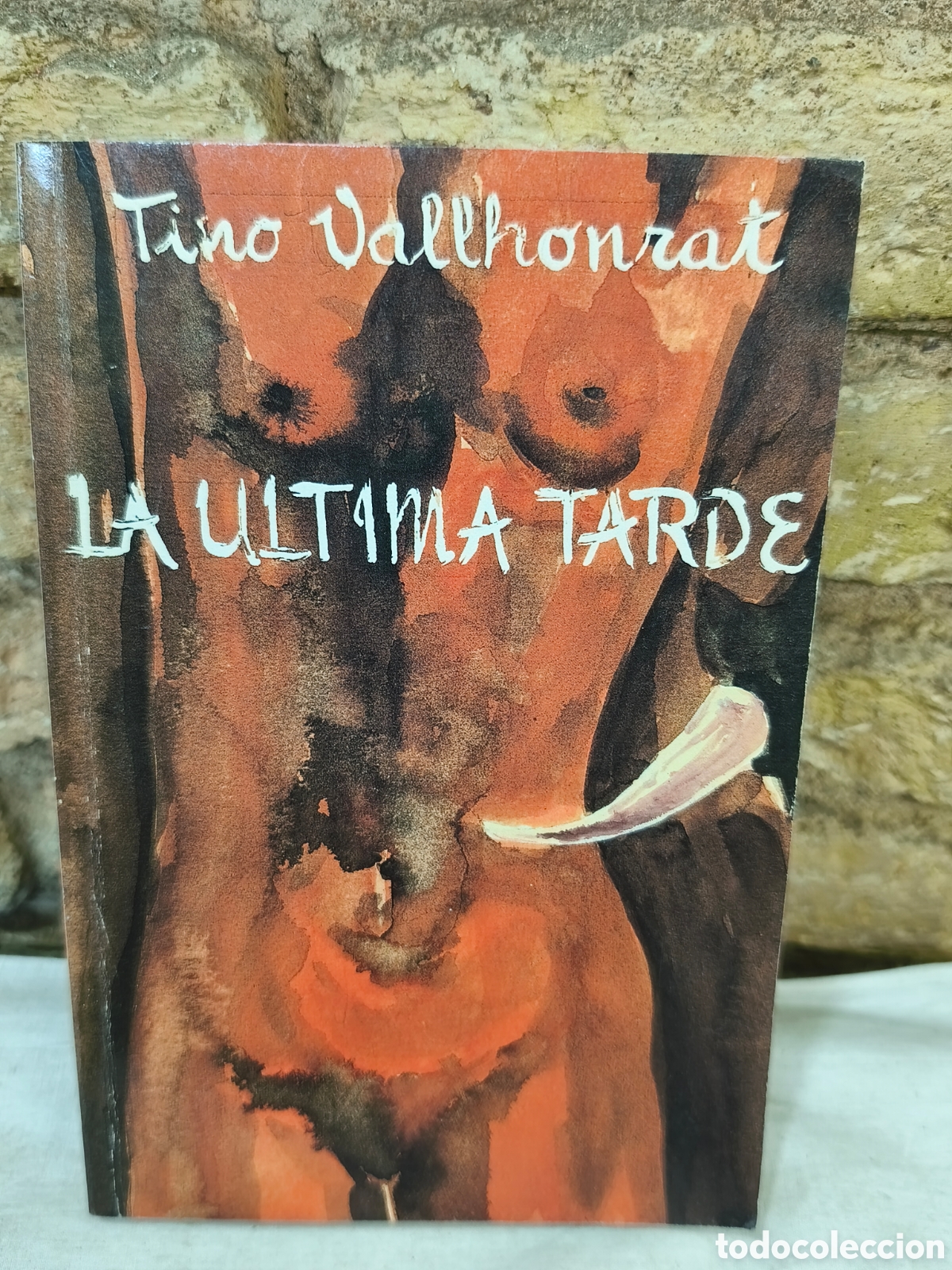 Tauromaquia: TINO VALLHONRAT LA ULTIMA TARDE