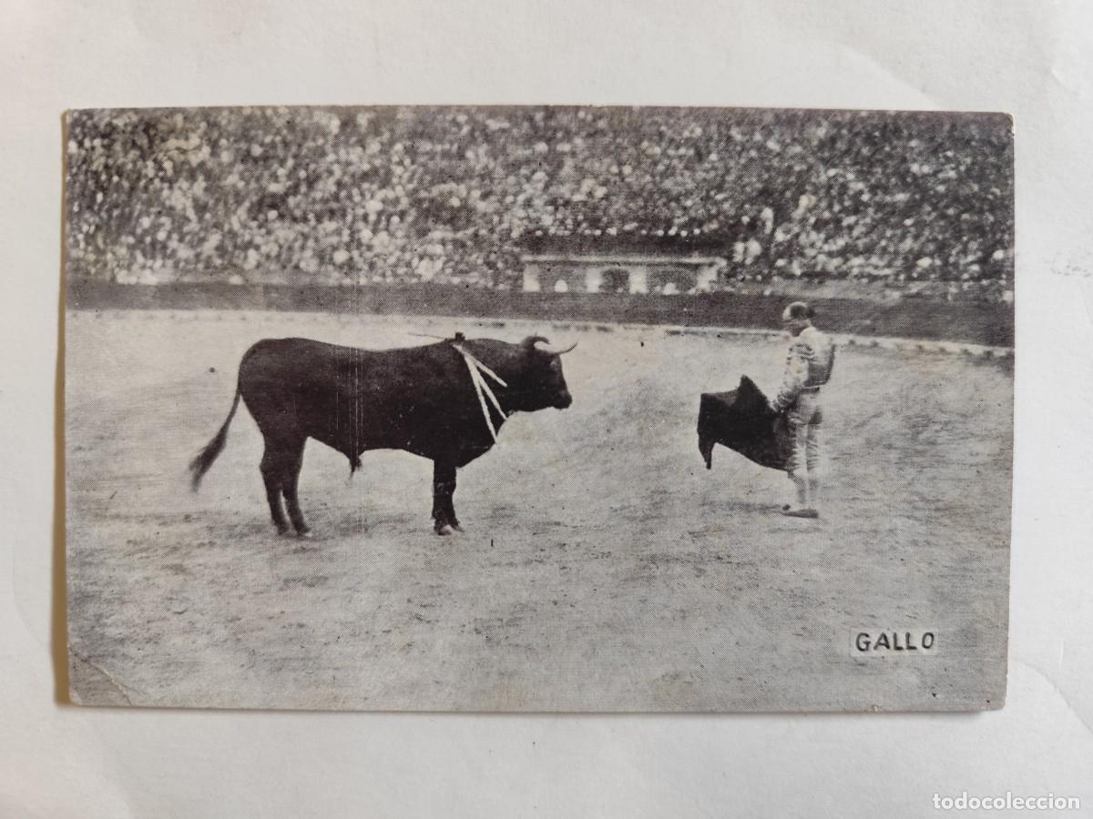 Tauromaquia: ANTIGUA POSTAL DEL TORERO RAFAEL EL GALLO, COLECCION GALLO, NUMERO 5