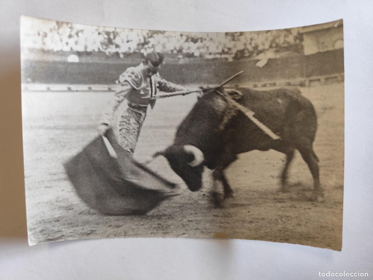 Tauromaquia: ANTIGUA FOTOGRAFIA DEL TORERO DOMINGO ORTEGA