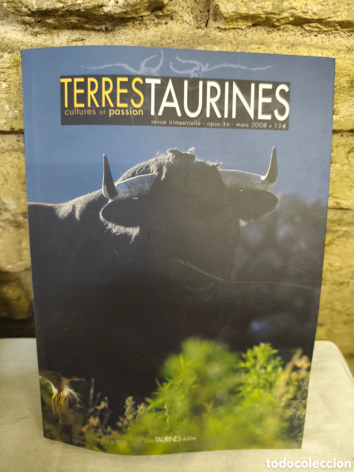 Tauromaquia: Terres taurines 2008 - Foto 1