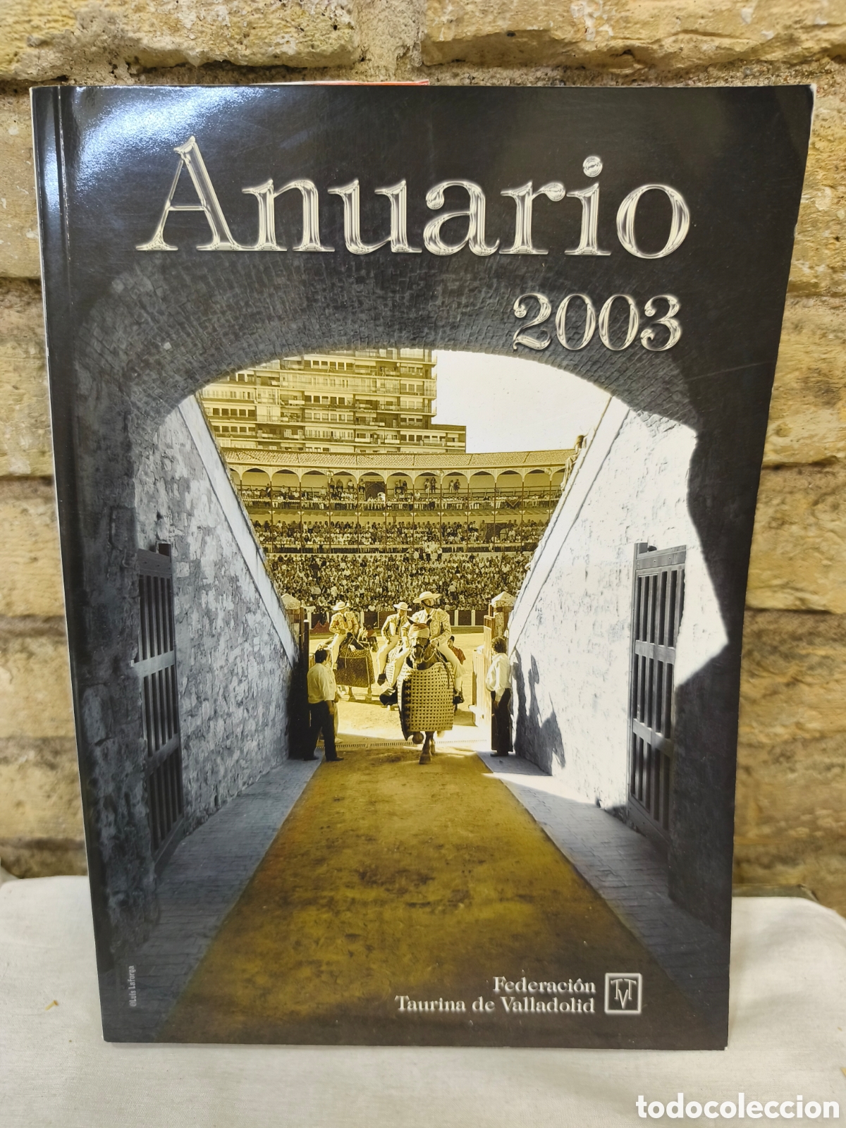 Bullfighting: Anuario 2003, federaci&oacute;n Taurina de Valladolid
